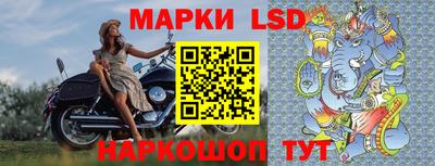 тгк Шебекино