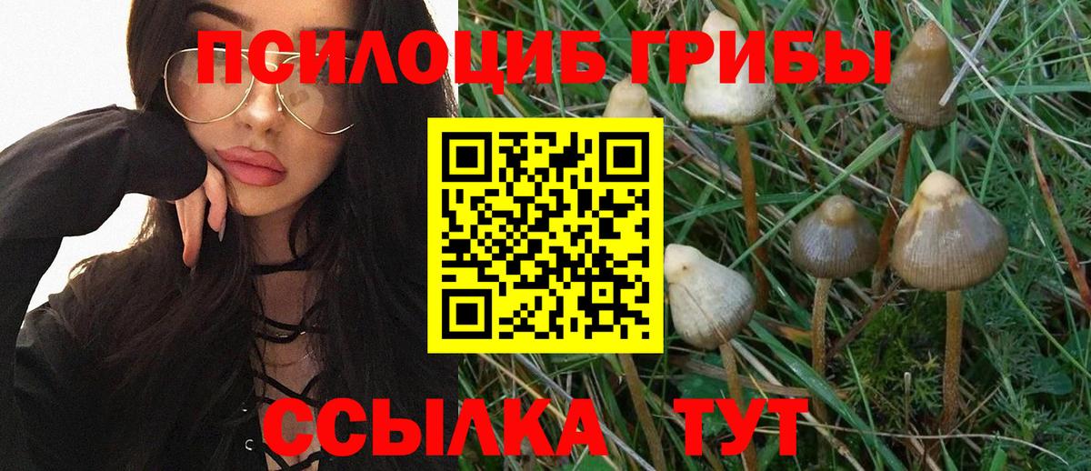 Галлюциногенные грибы мицелий Ленинск-Кузнецкий