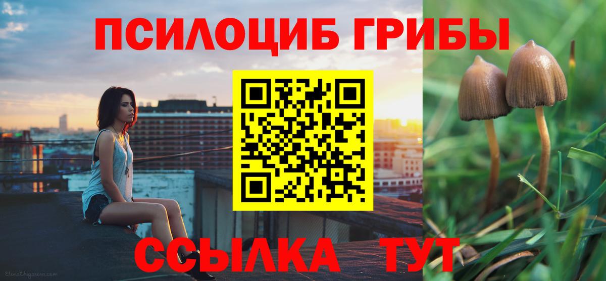Ленинск-Кузнецкий  Псилоцибиновые грибы Magic Shrooms  Вход с VPN  Псилоцибиновые грибы мухоморы 